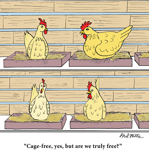 Phil Witte’s cartoon